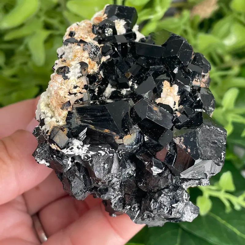 BLACK TOURMALINE SCHORL Erongo Mountains Limited, Raw Natural Crystal Collection, Metaphysical, Home Ornament